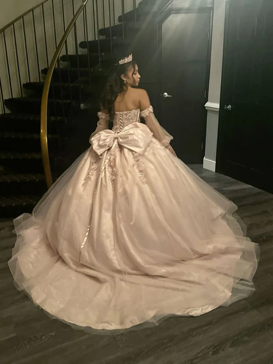 Applique Tulle Sweet 16 Dress Quinceanera Dress Birthday Ball Gown J7421